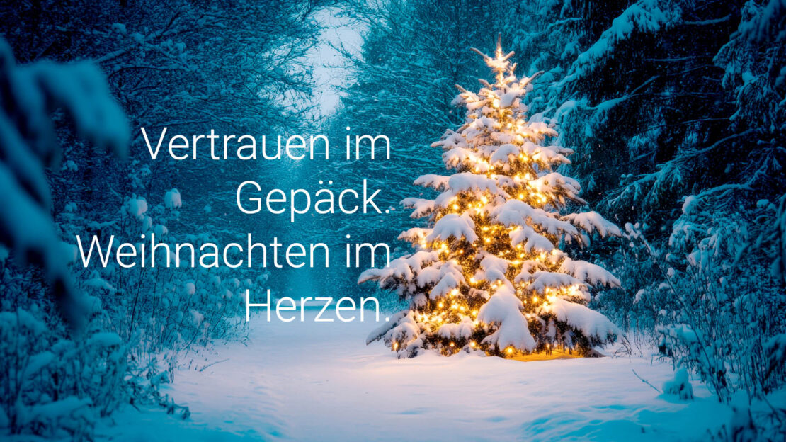 Leuchtender Weihnachtsbaum in bläulicher Stimmung im Wald.